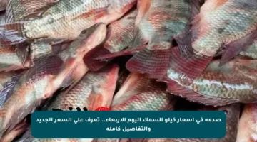 صدمة في أسعار كيلو السمك اليوم الأربعاء.. تعرف على السعر الجديد والتفاصيل كاملة